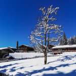 Winterfoto Edelweiss-Alm im Weberlandl Wagrain